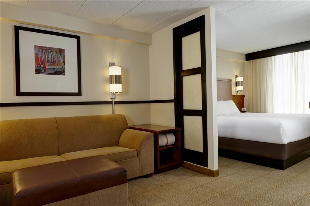 Hyatt Place Atlanta Downtown Chambre photo